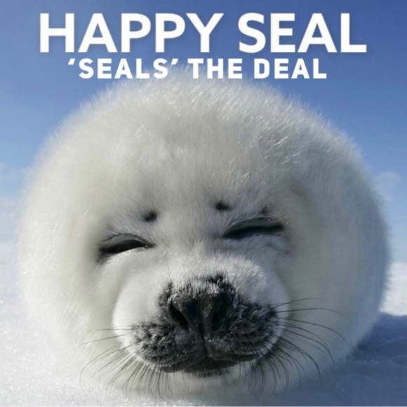 🤝 MAKE ME AN OFFER 😃 Be Happy! - Picture 3 of 10